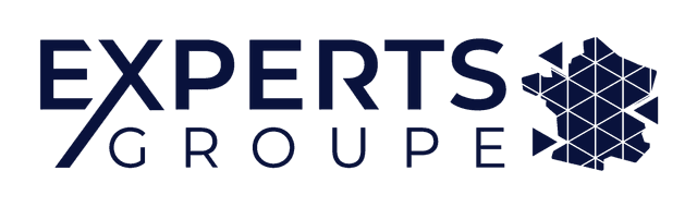 Logo Experts Groupe